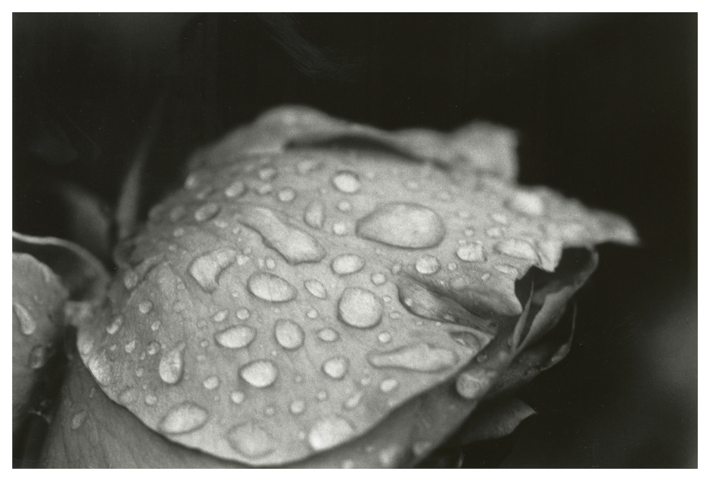 Kantonsschule Heerbrugg