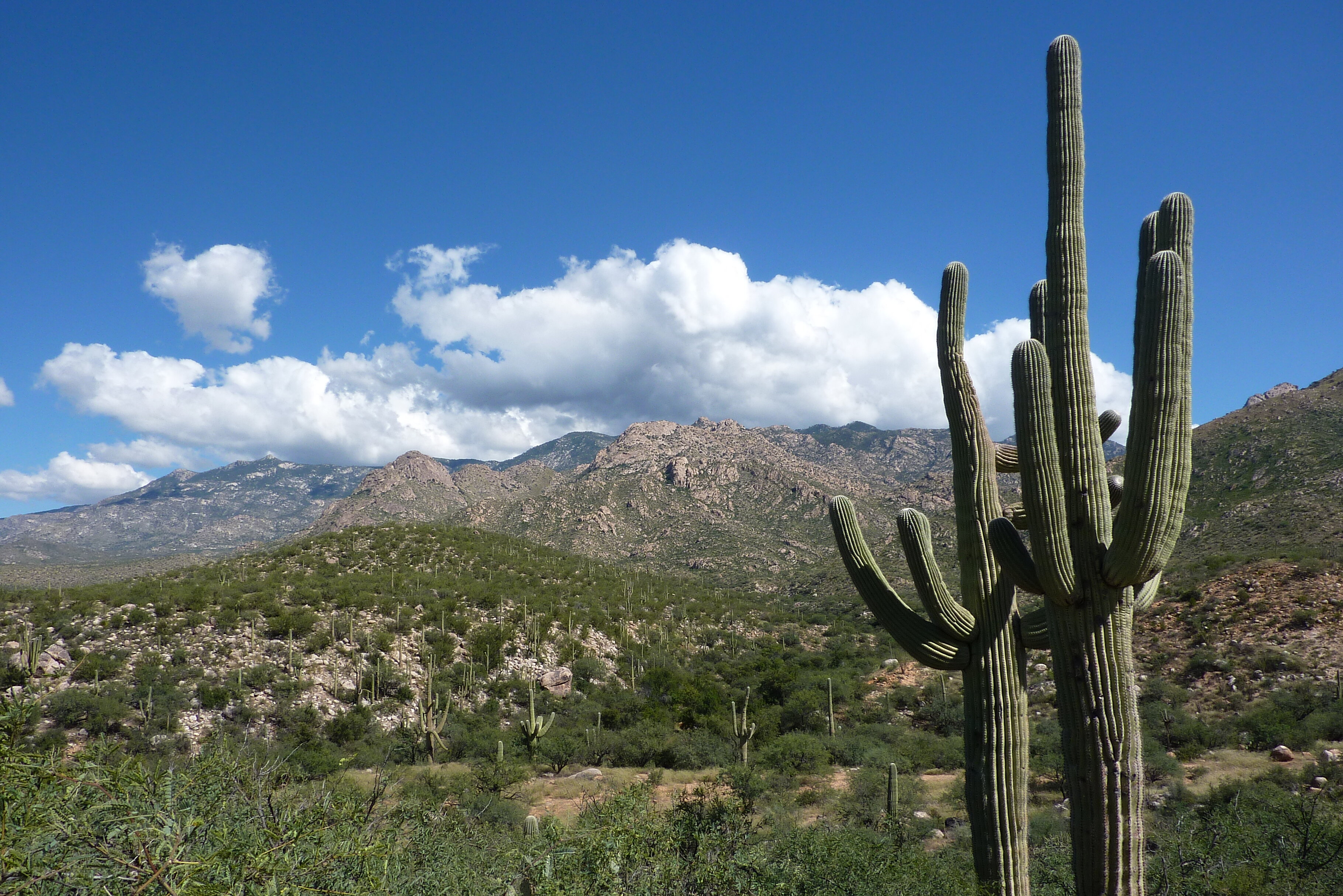 Kantonsschule Heerbrugg