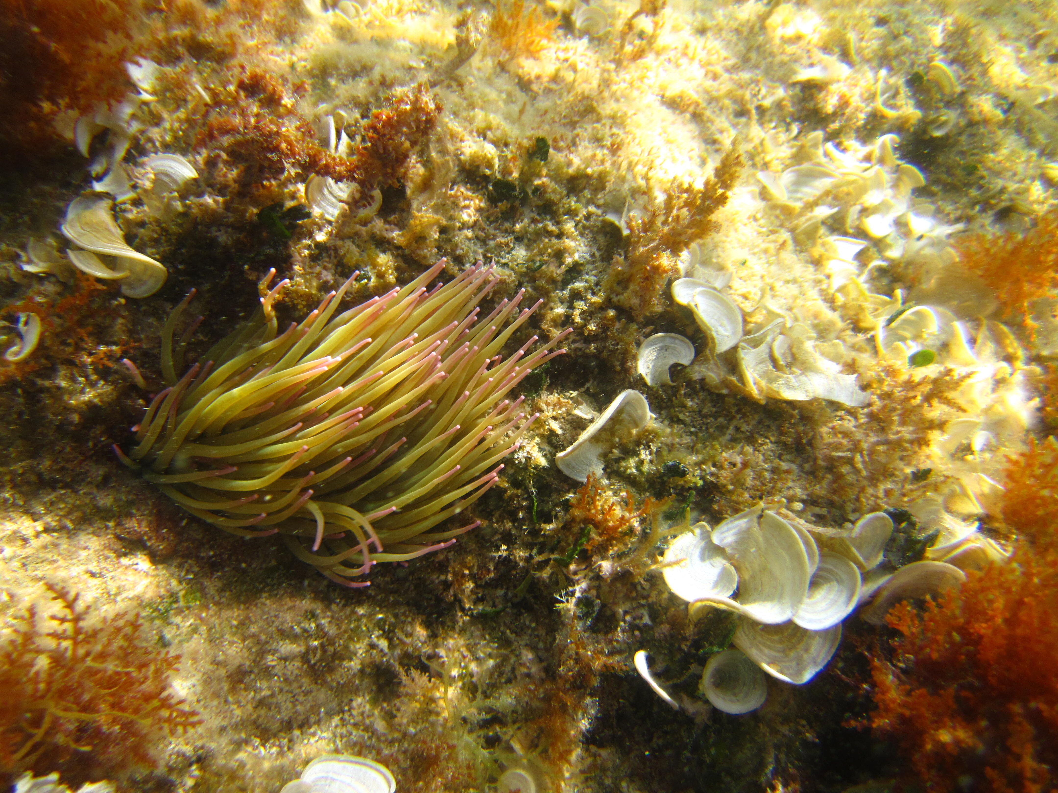 Kantonsschule Heerbrugg