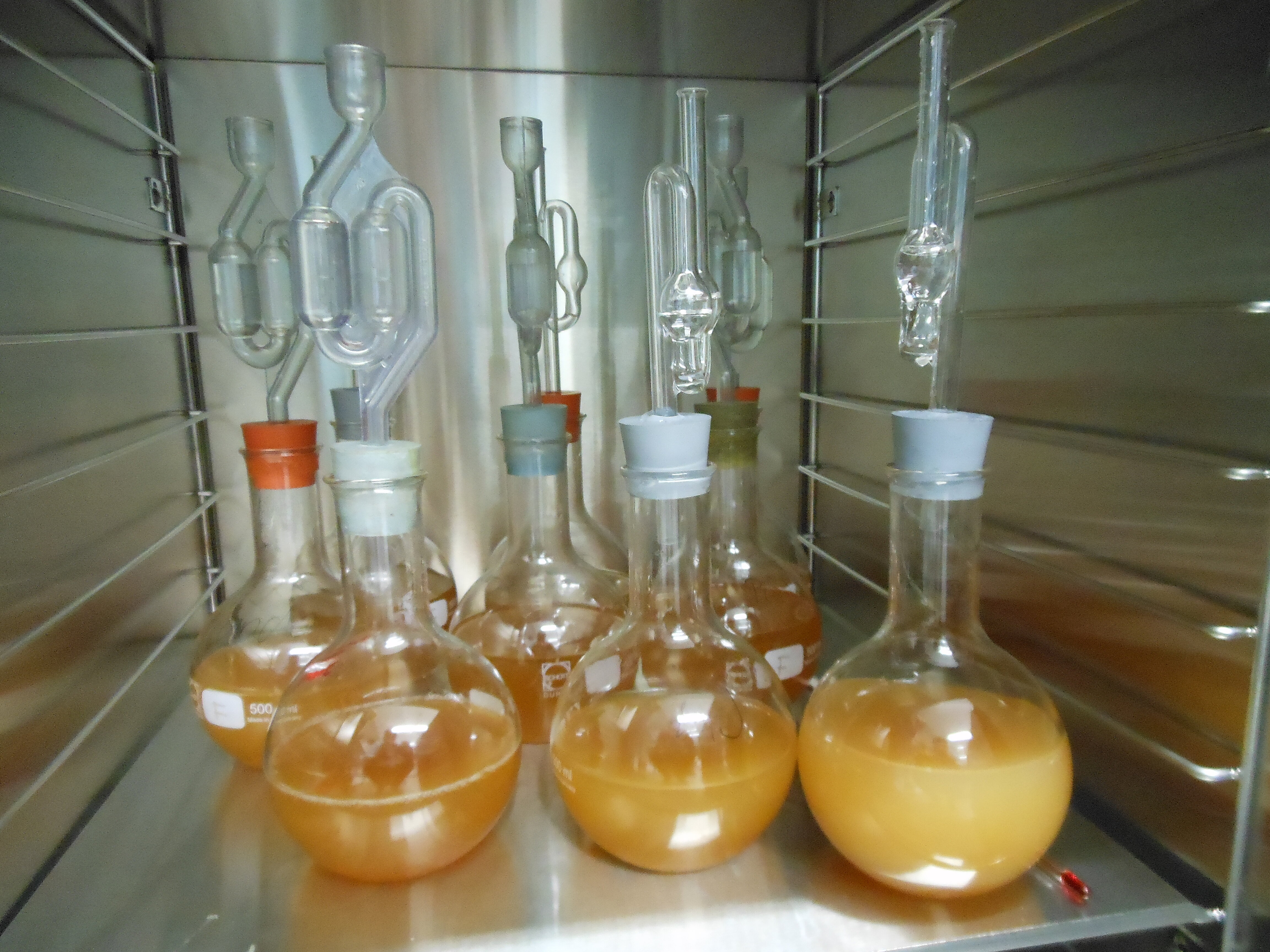 Kantonsschule Heerbrugg