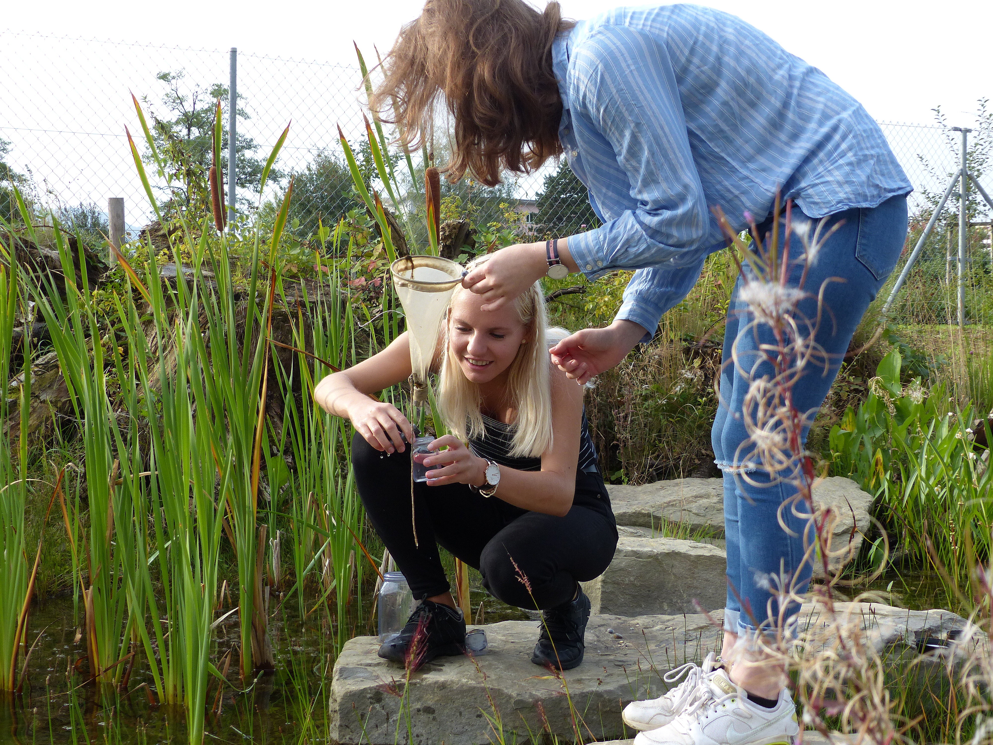 Kantonsschule Heerbrugg