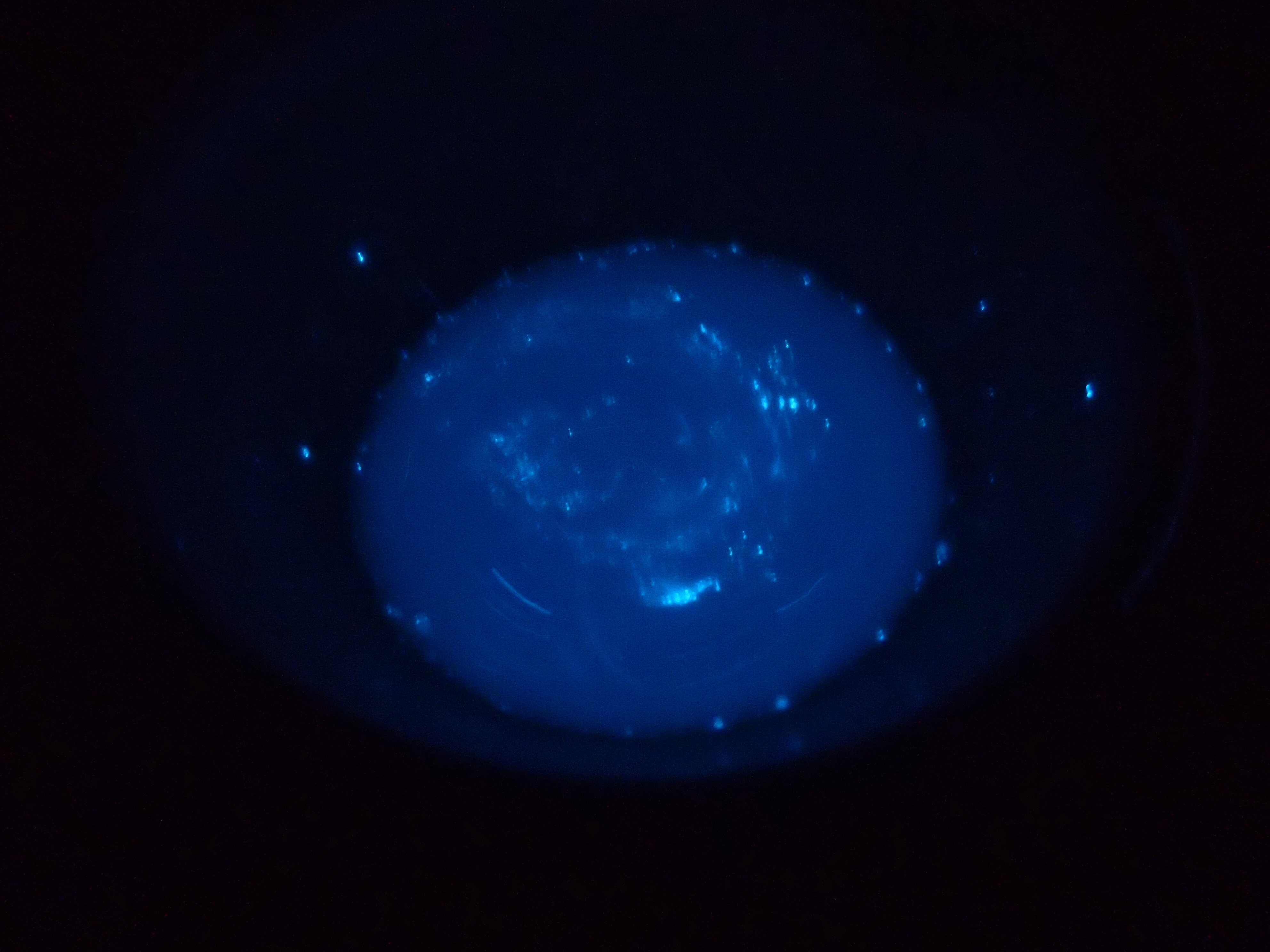 Kantonsschule Heerbrugg