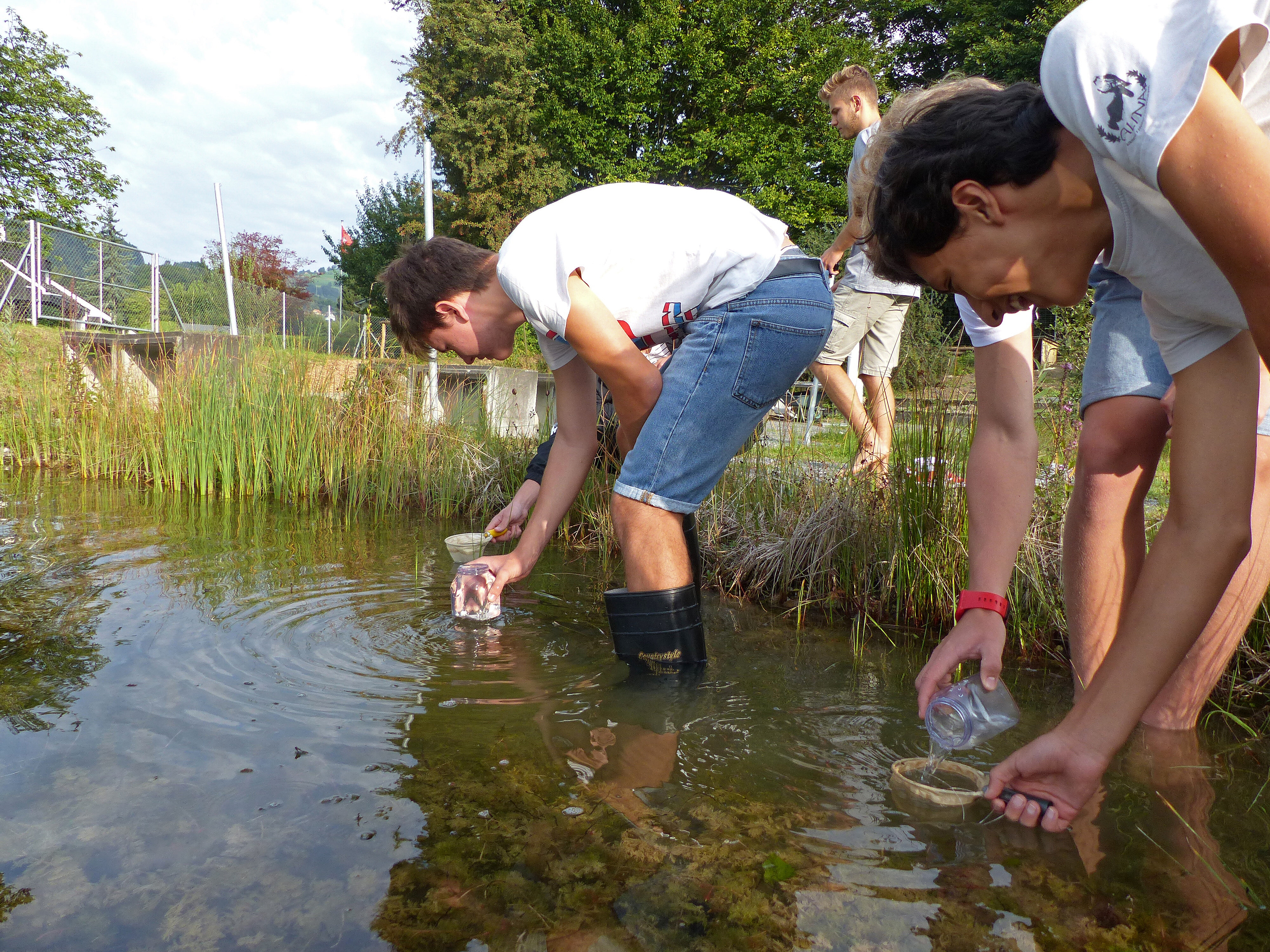 Kantonsschule Heerbrugg