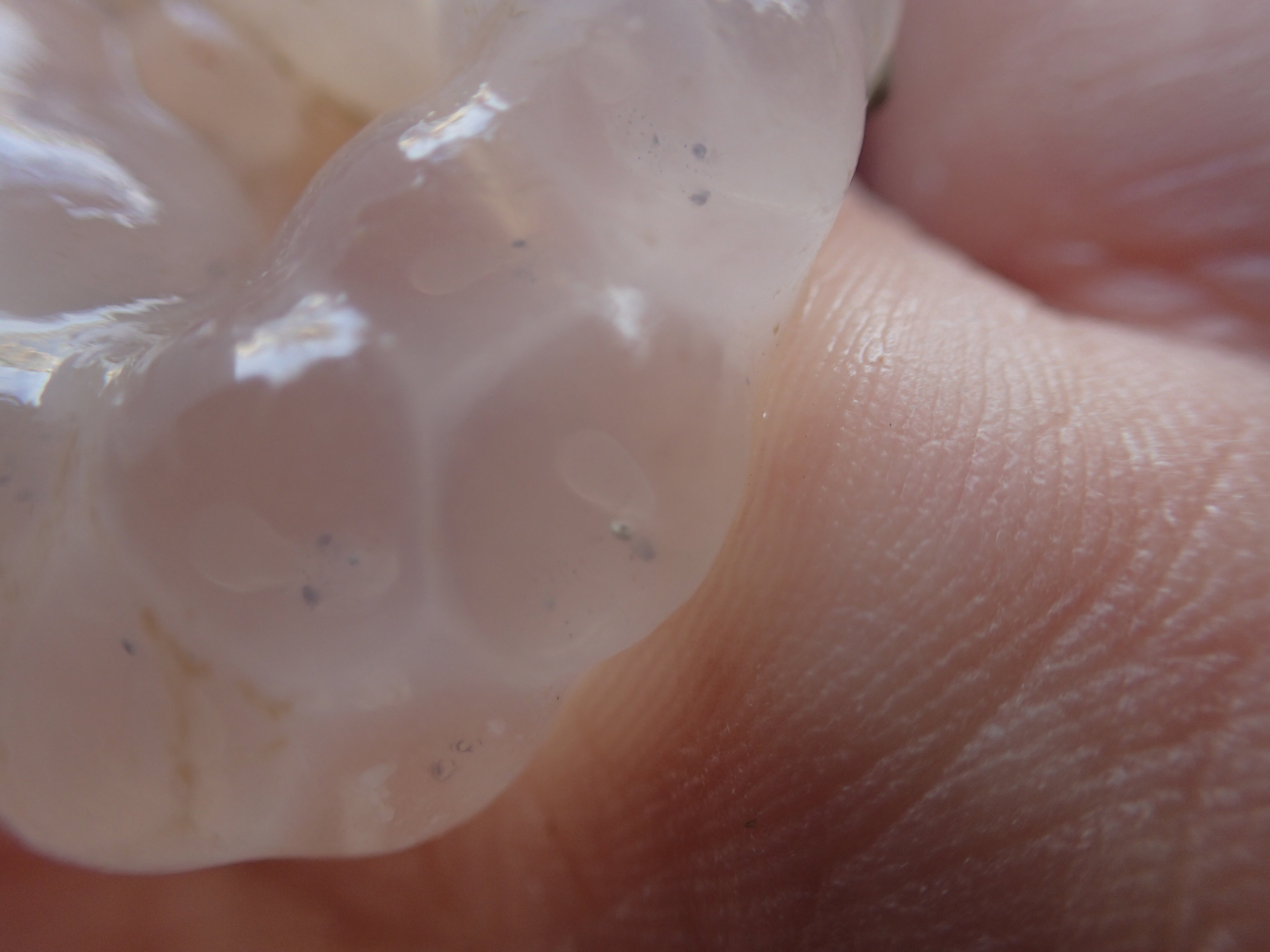 Kantonsschule Heerbrugg