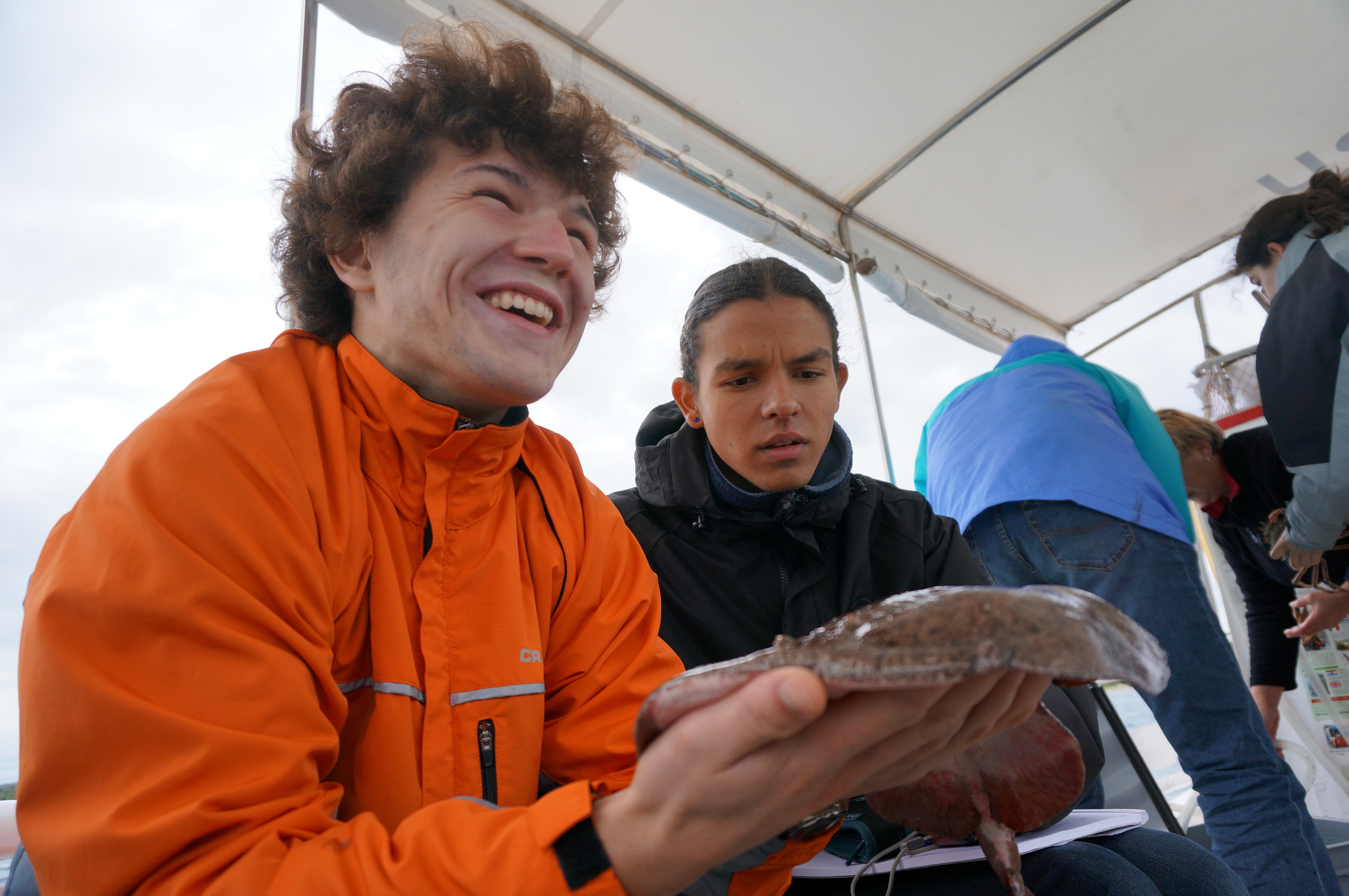 Kantonsschule Heerbrugg