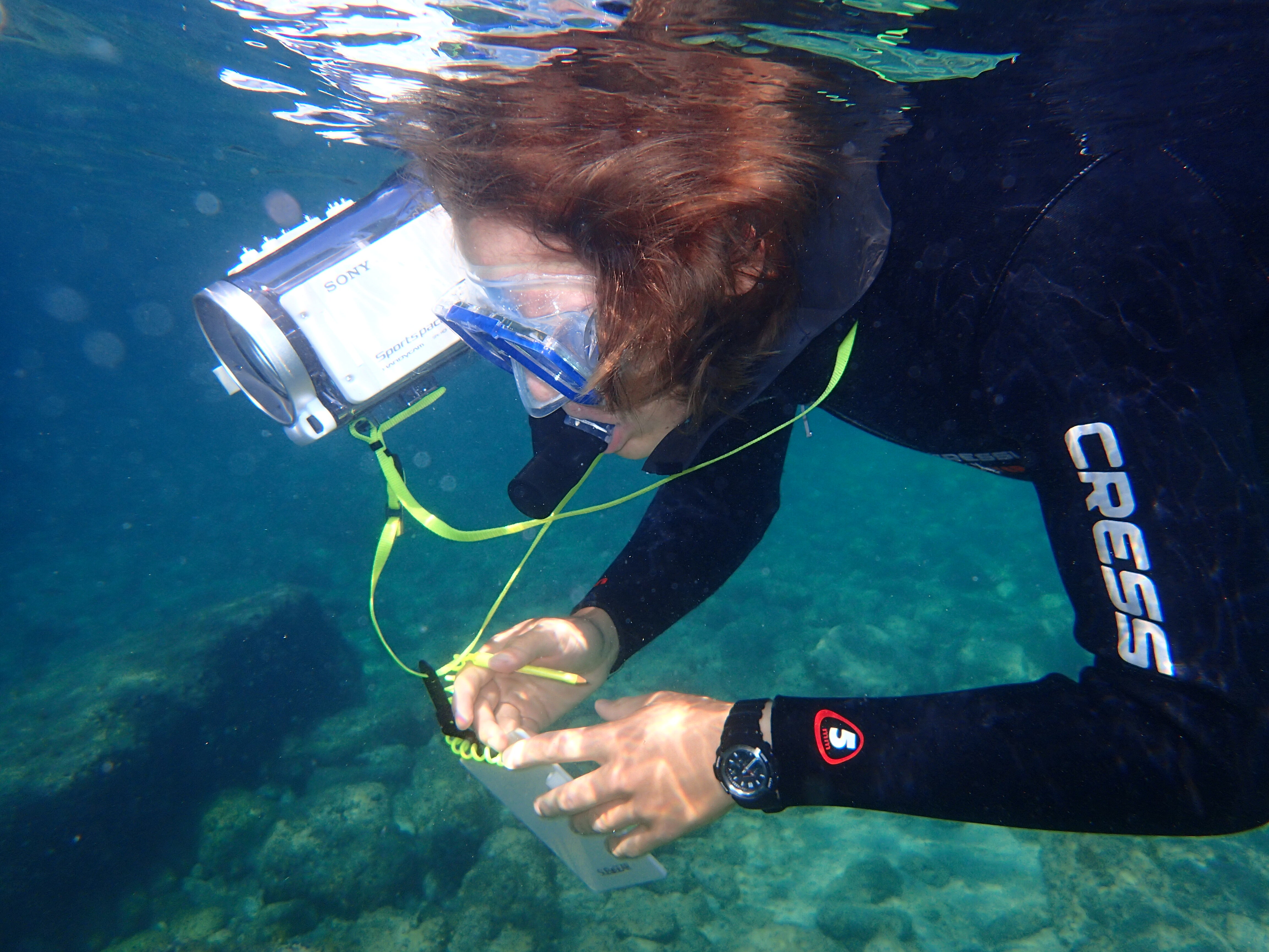 Kantonsschule Heerbrugg