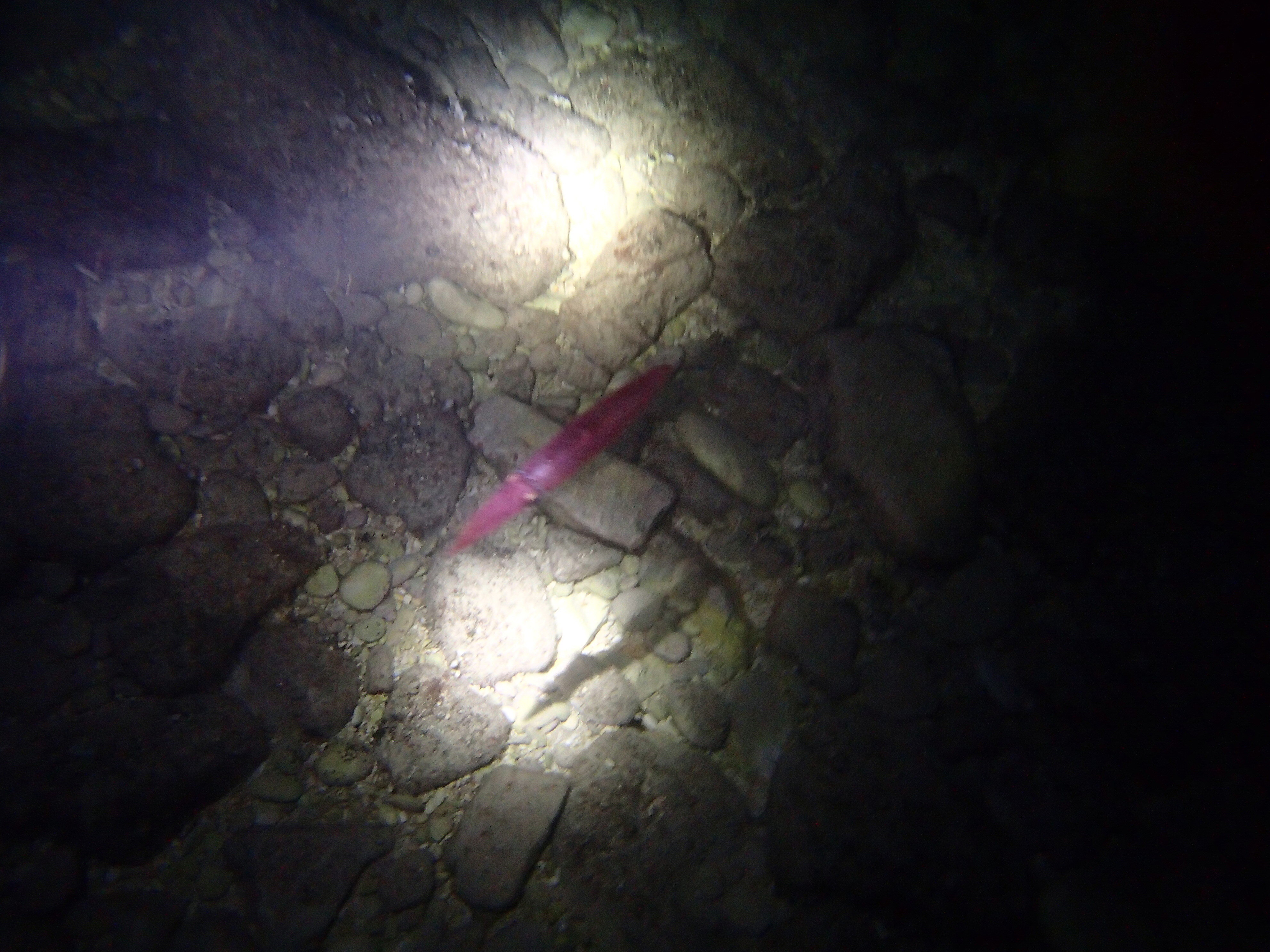 Kantonsschule Heerbrugg