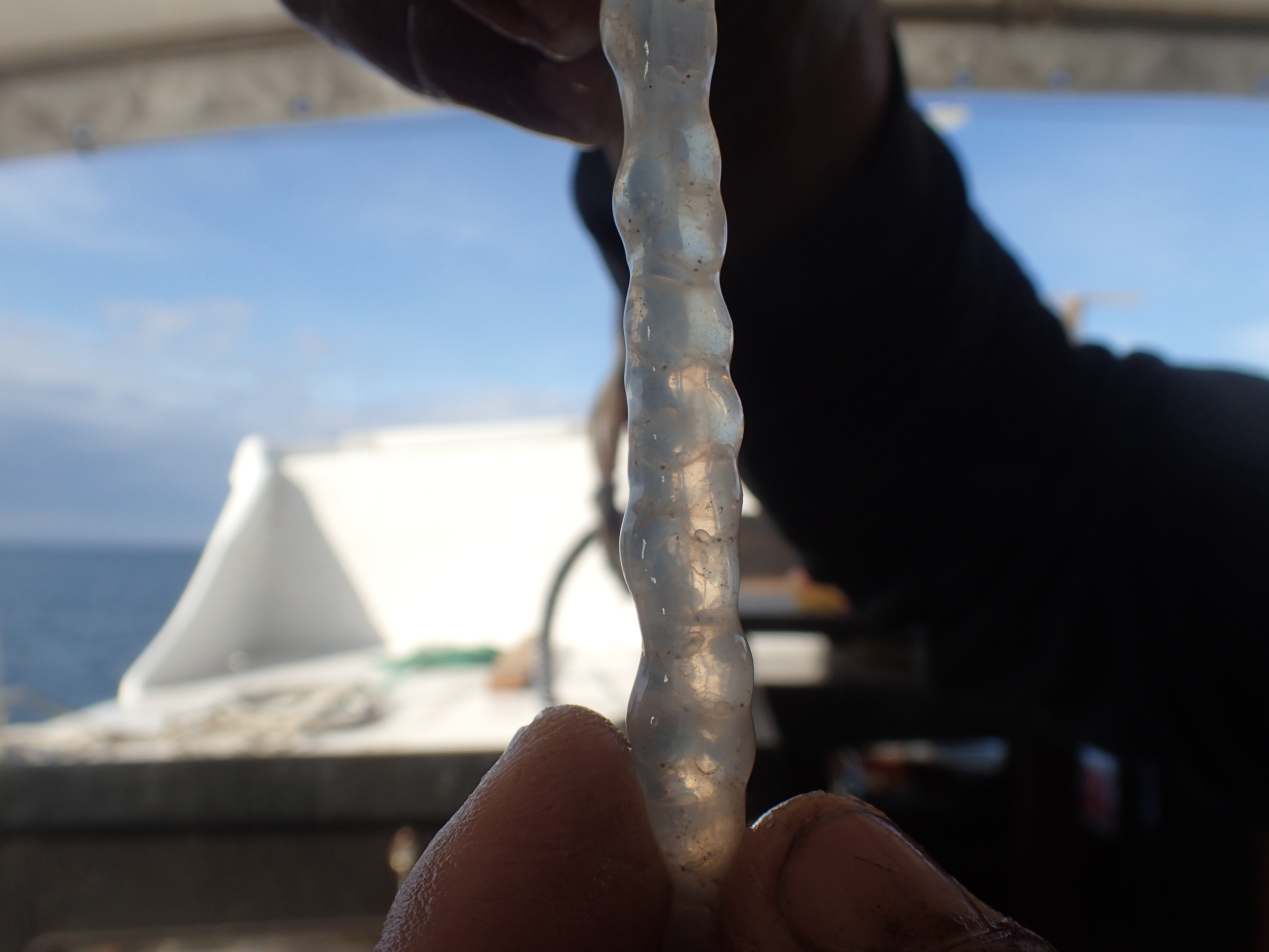 Kantonsschule Heerbrugg