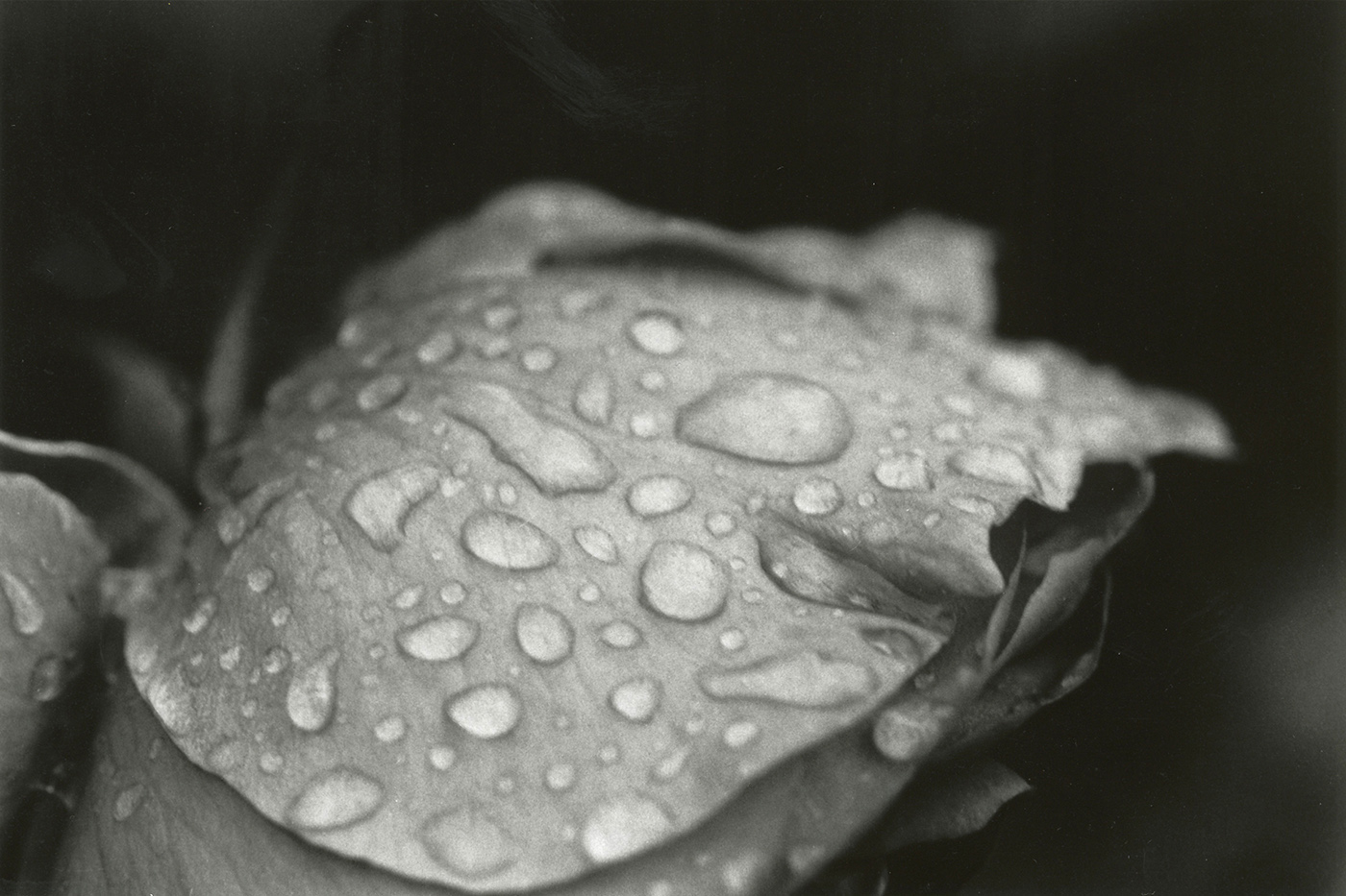 Kantonsschule Heerbrugg