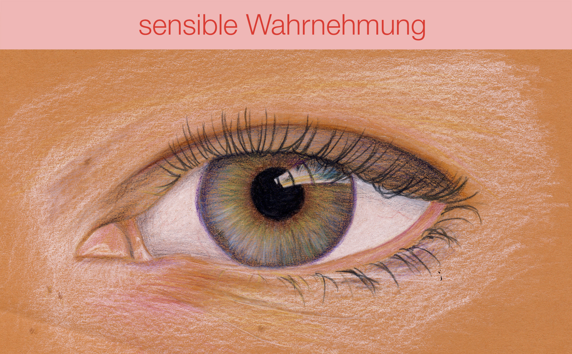 Kantonsschule Heerbrugg