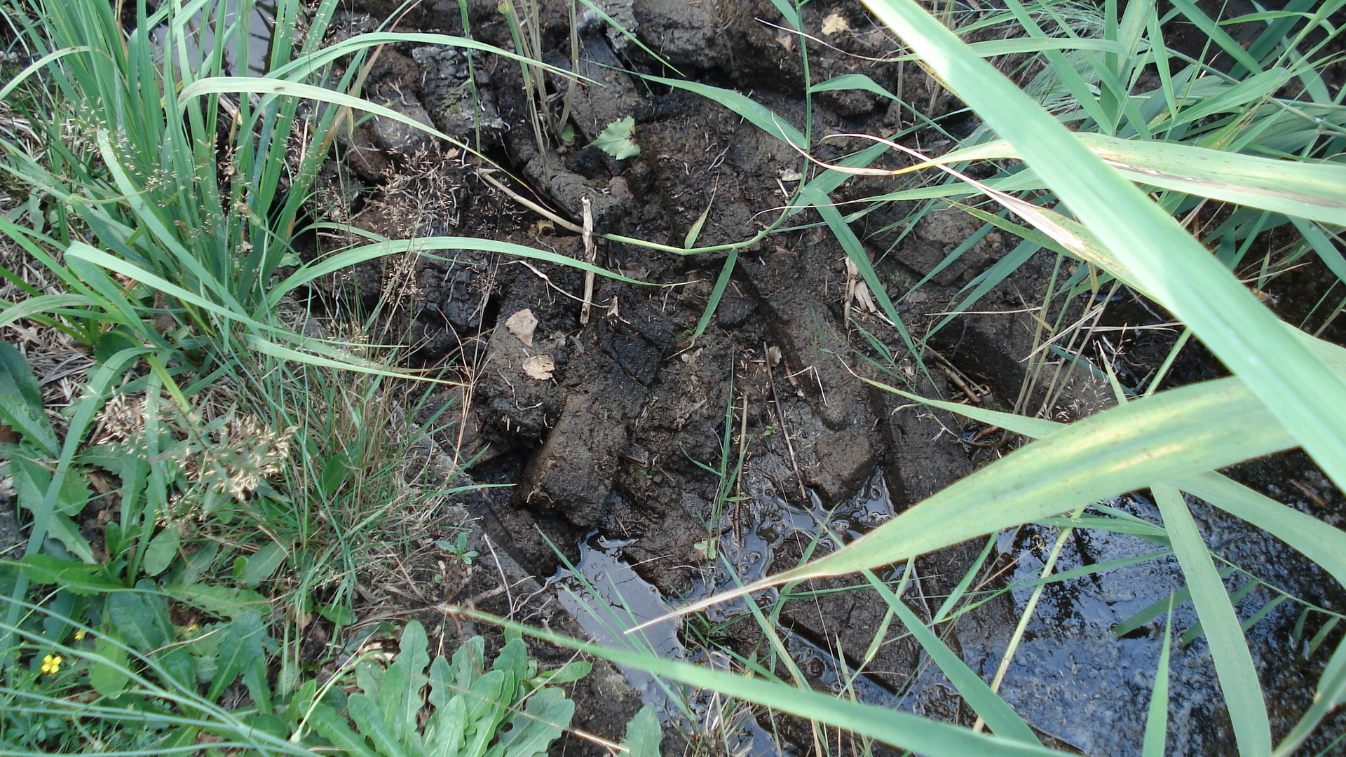 Kantonsschule Heerbrugg - Exkursionen