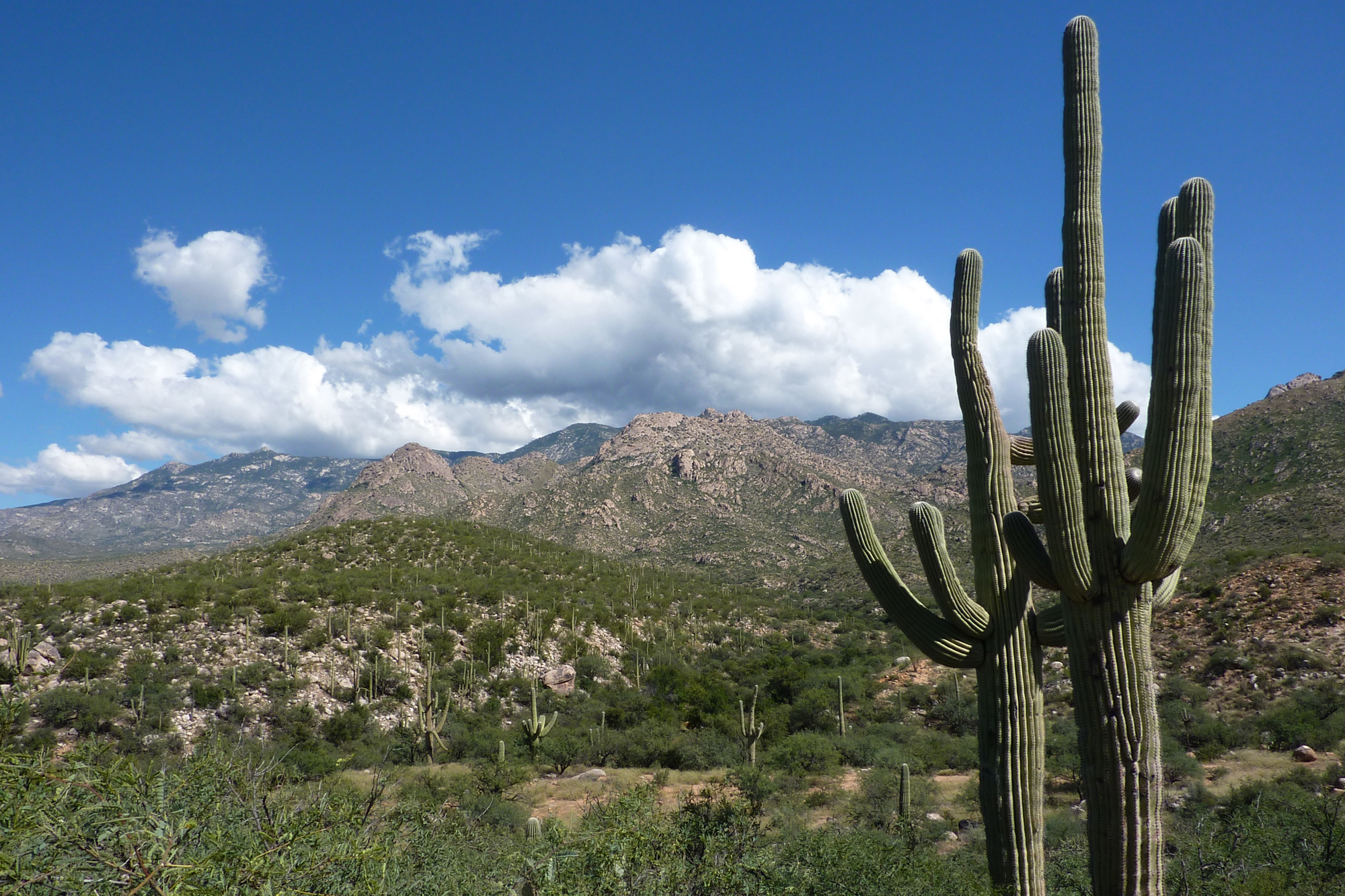 Kantonsschule Heerbrugg